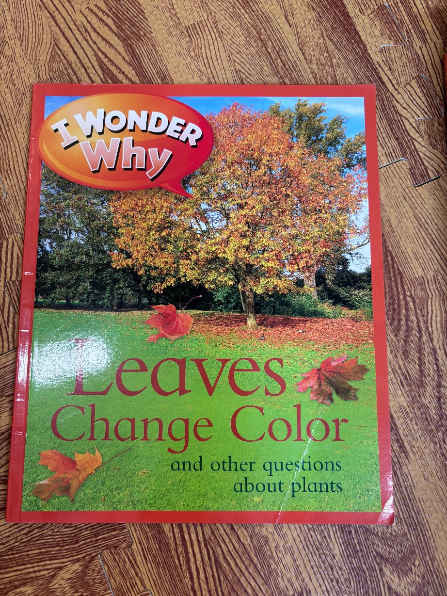 Leaves Change Color — ảnh 1