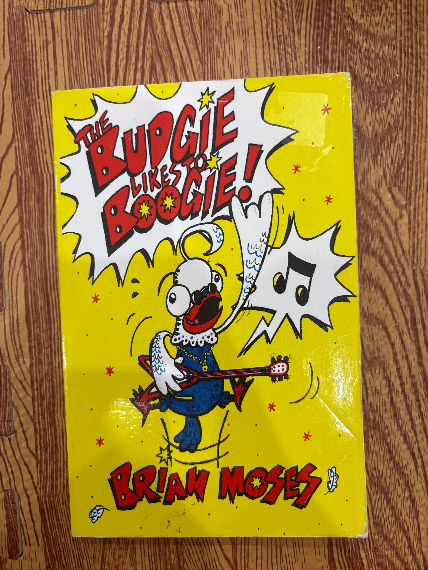 THE BUDGIE LIKES TO BOOGIE!