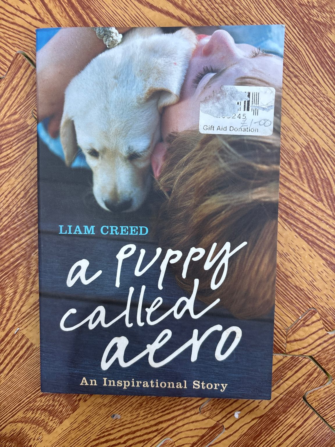 A Puppy Called Aero — ảnh 1
