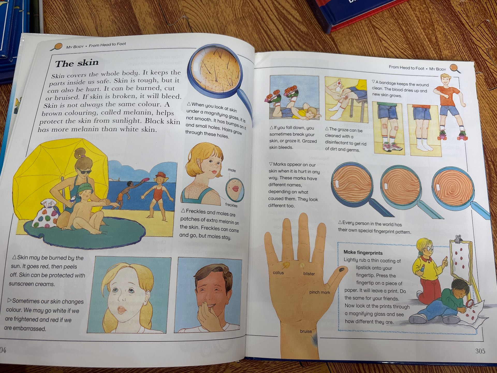 Learning Adventure Library 4 my body — ảnh 3