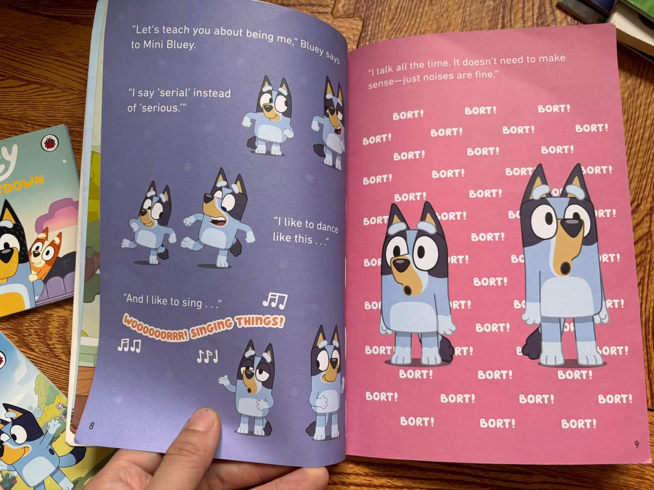 SET 3 QUYỂN BLUEY (LADYBIRD BOOKS) — ảnh 3