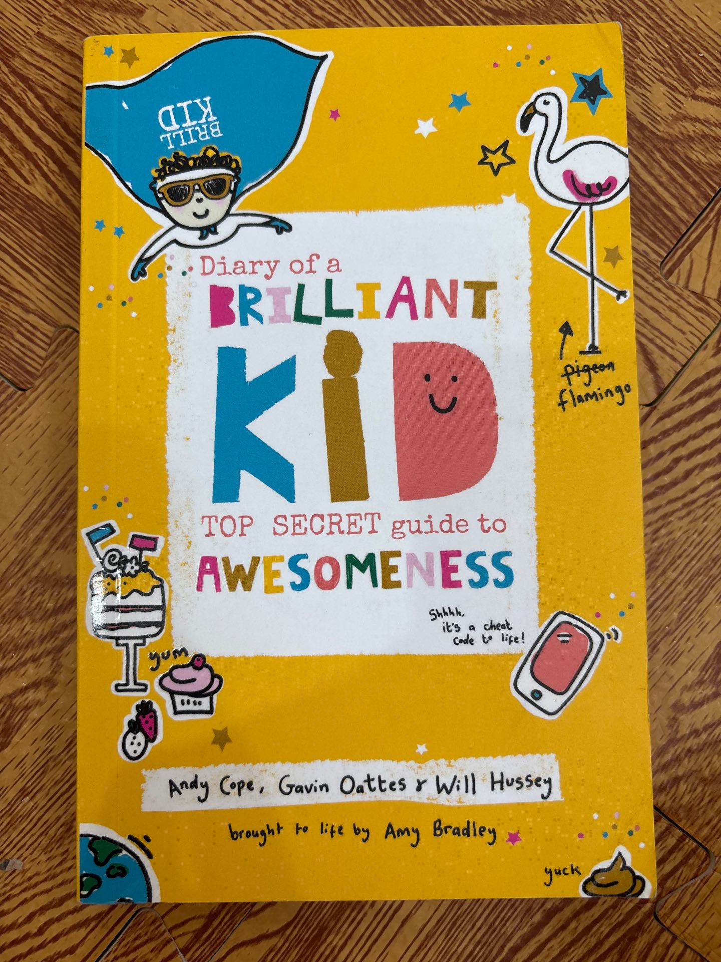 Diary of a Brilliant Kid: Top Secret Guide to Awesomeness