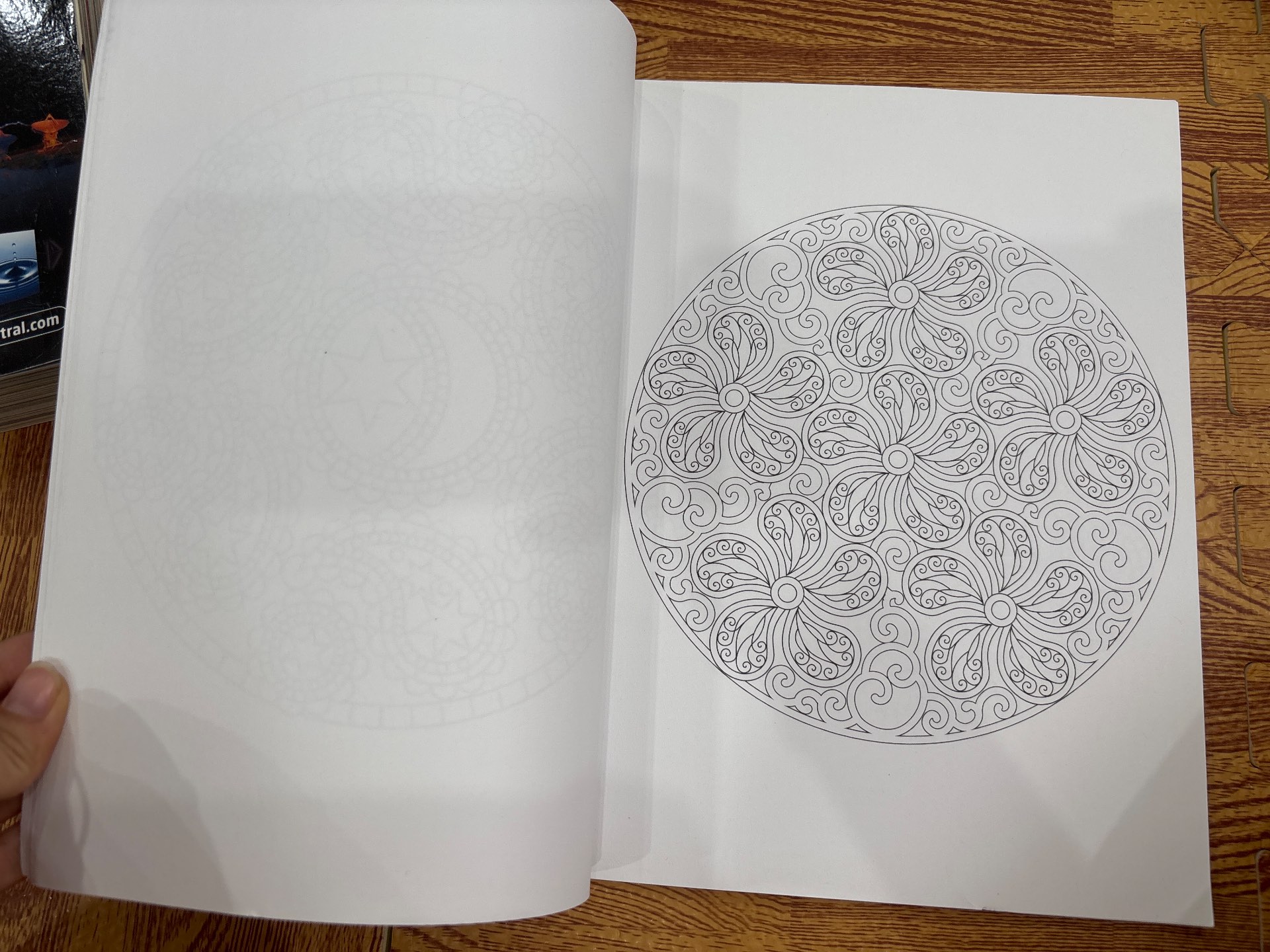 Paisley Mandalas — ảnh 3