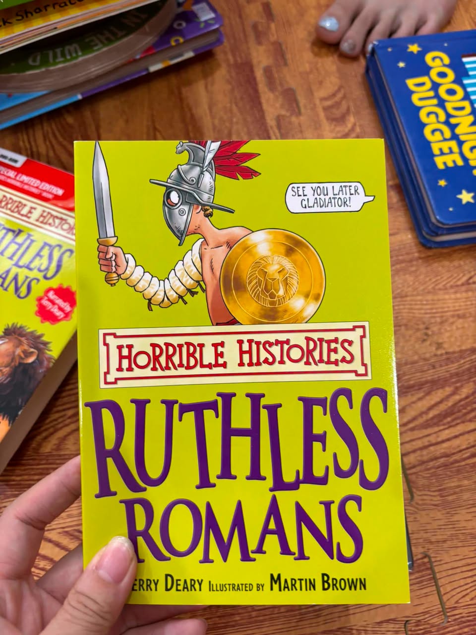 Horrible Histories: Ruthless Romans (Special Limited Edition PC DVD-ROM & Book) — ảnh 3