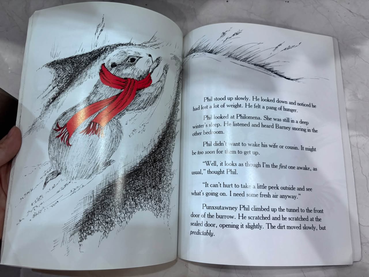 THE STORY OF PUNXSUTAWNEY PHIL: "THE FEARLESS FORECASTER" — ảnh 5