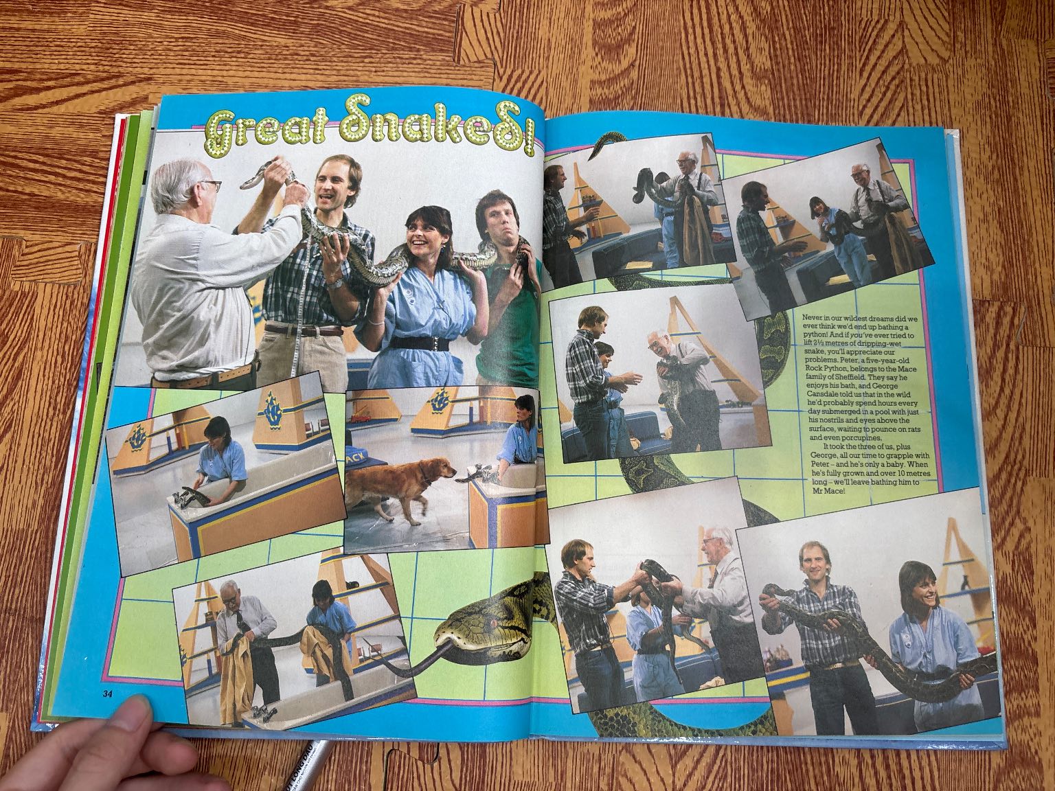 Blue Peter: Book Twenty-One — ảnh 7