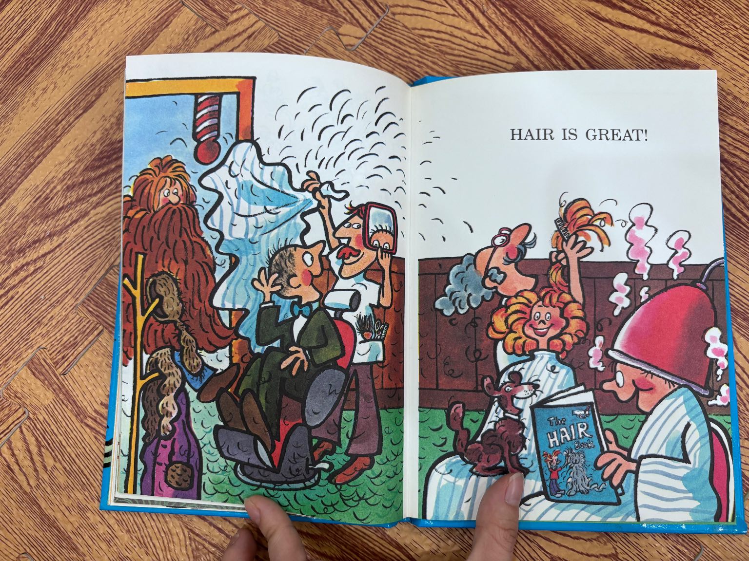 The HAIR Book — ảnh 7