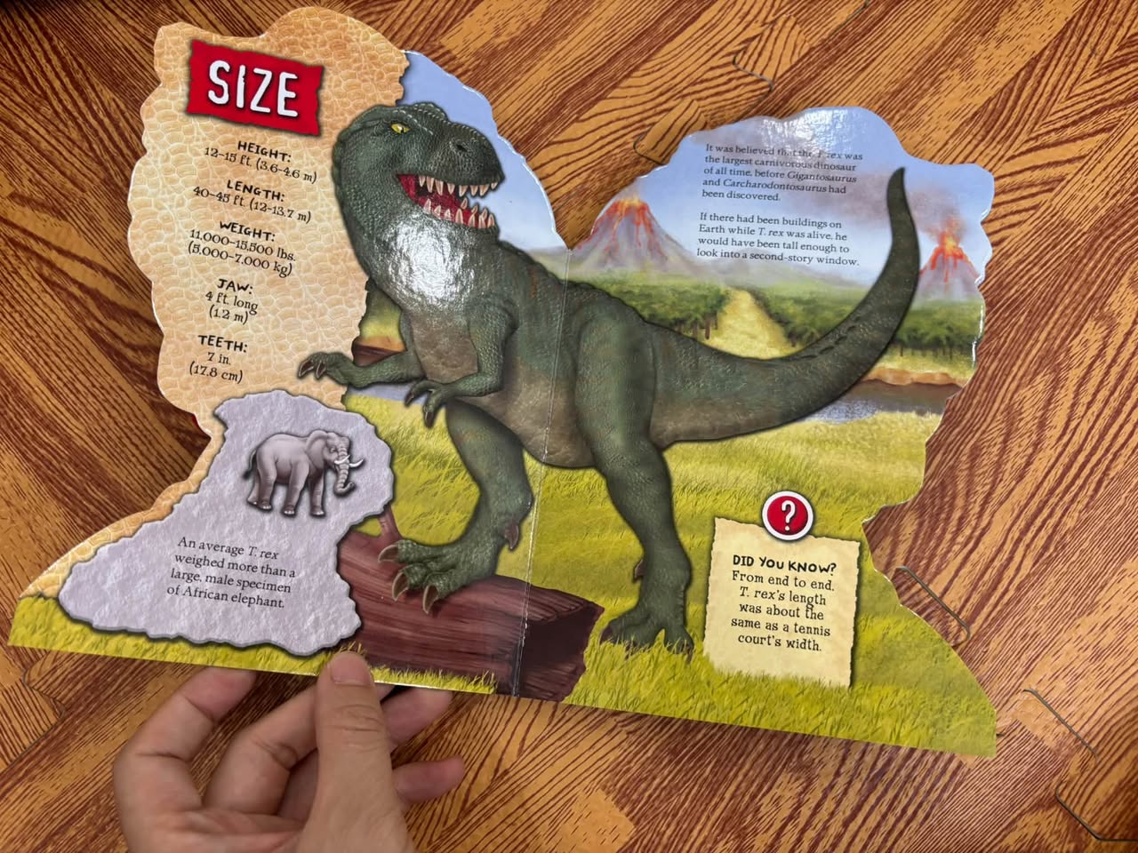 ROAR! TYRANNOSAURUS REX (SHAPED BOARD BOOK) — ảnh 3