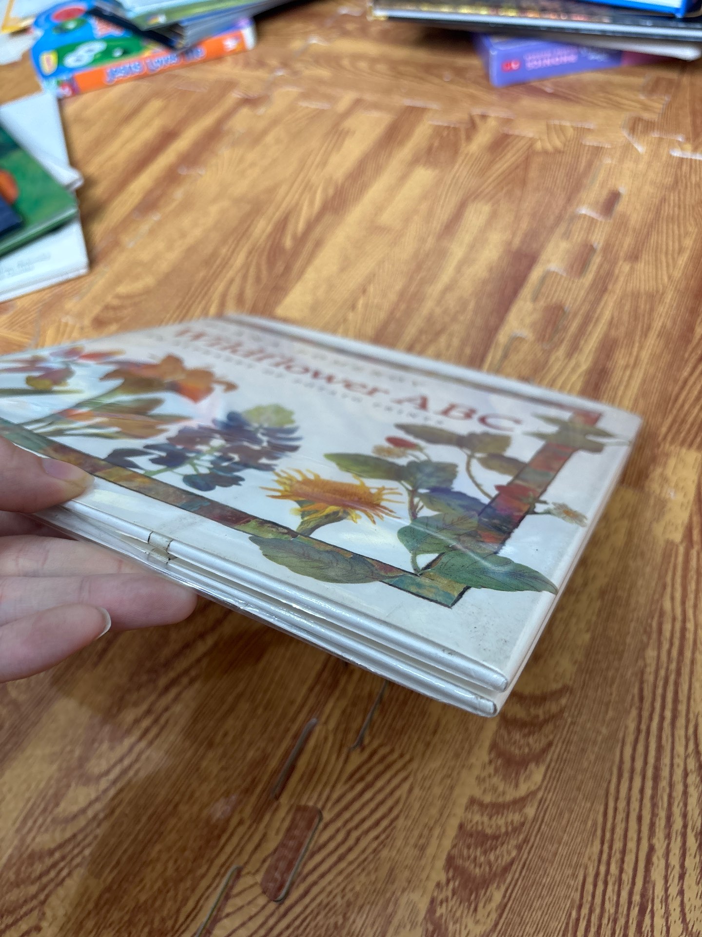 Wildflower ABC — ảnh 8