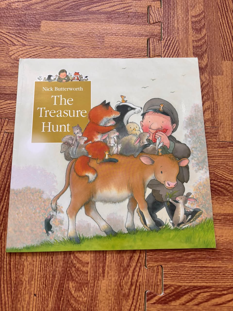 THE TREASURE HUNT (NICK BUTTERWORTH)