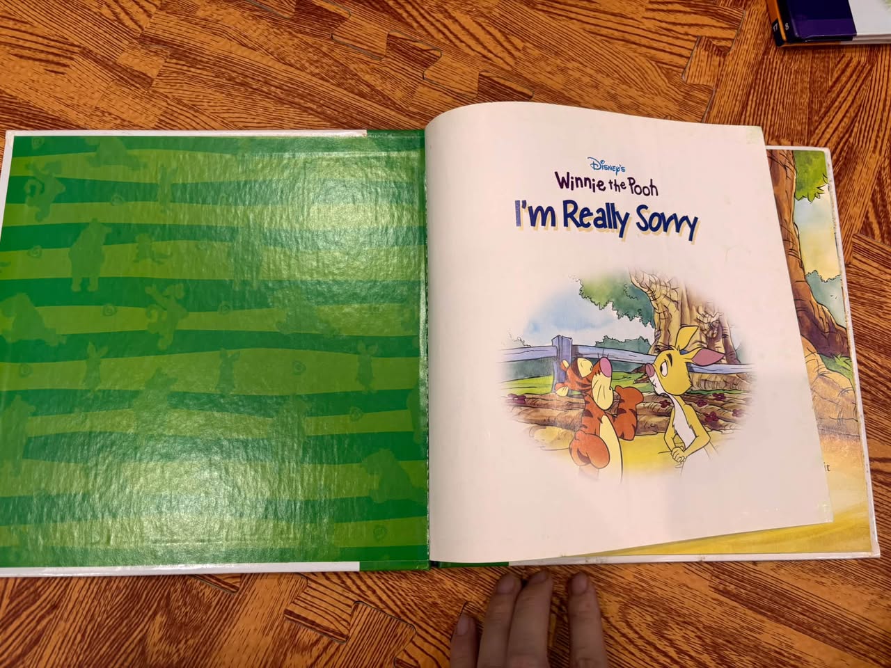 DISNEY'S WINNIE THE POOH: LESSONS FROM THE HUNDRED ACRE WOOD (SET TRUYỆN TRANH KỸ NĂNG) — ảnh 4