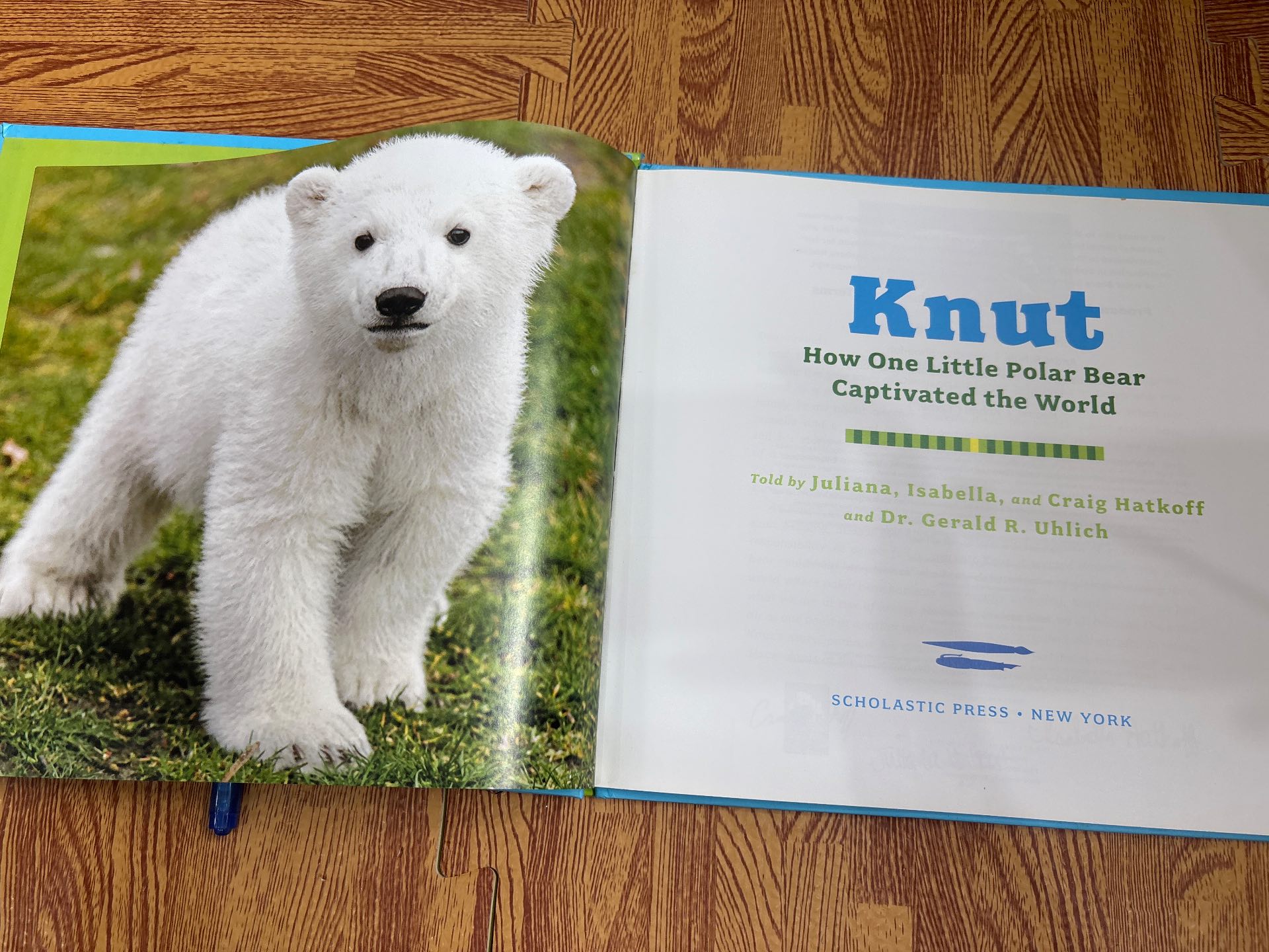 Knut — ảnh 2