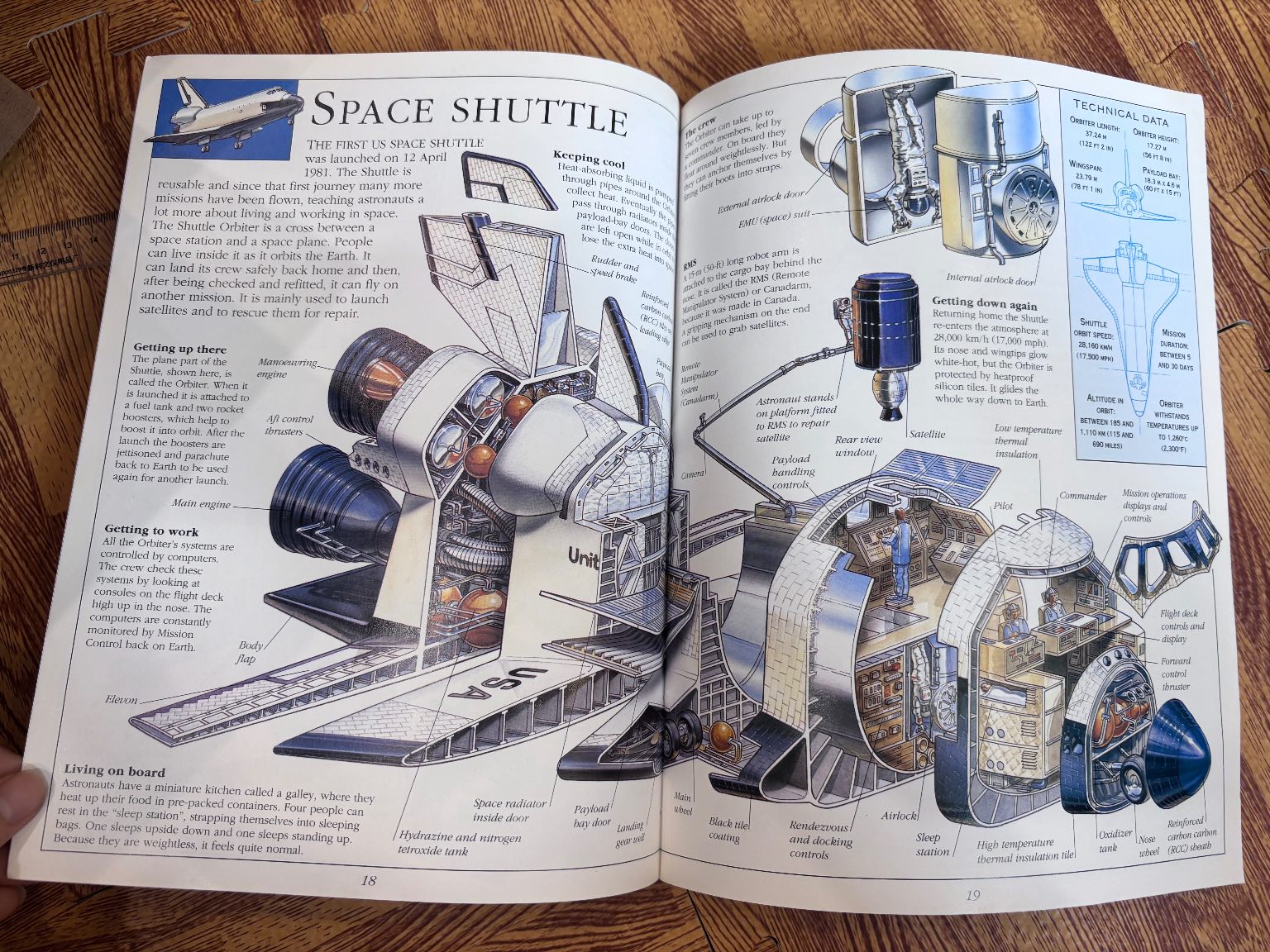 LOOK INSIDE CROSS-SECTIONS SPACE — ảnh 6