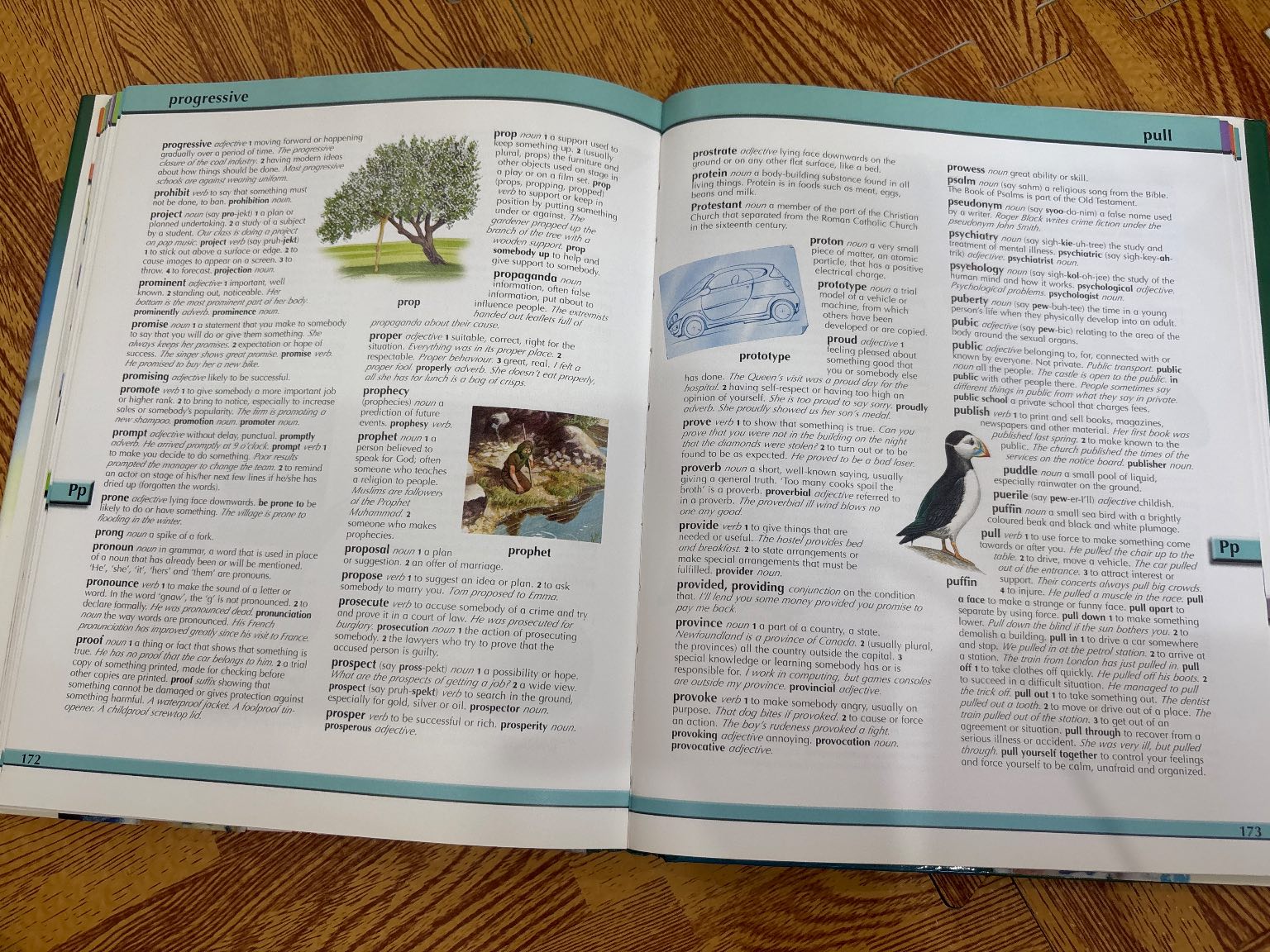 CHILDREN'S ILLUSTRATED DICTIONARY — ảnh 5