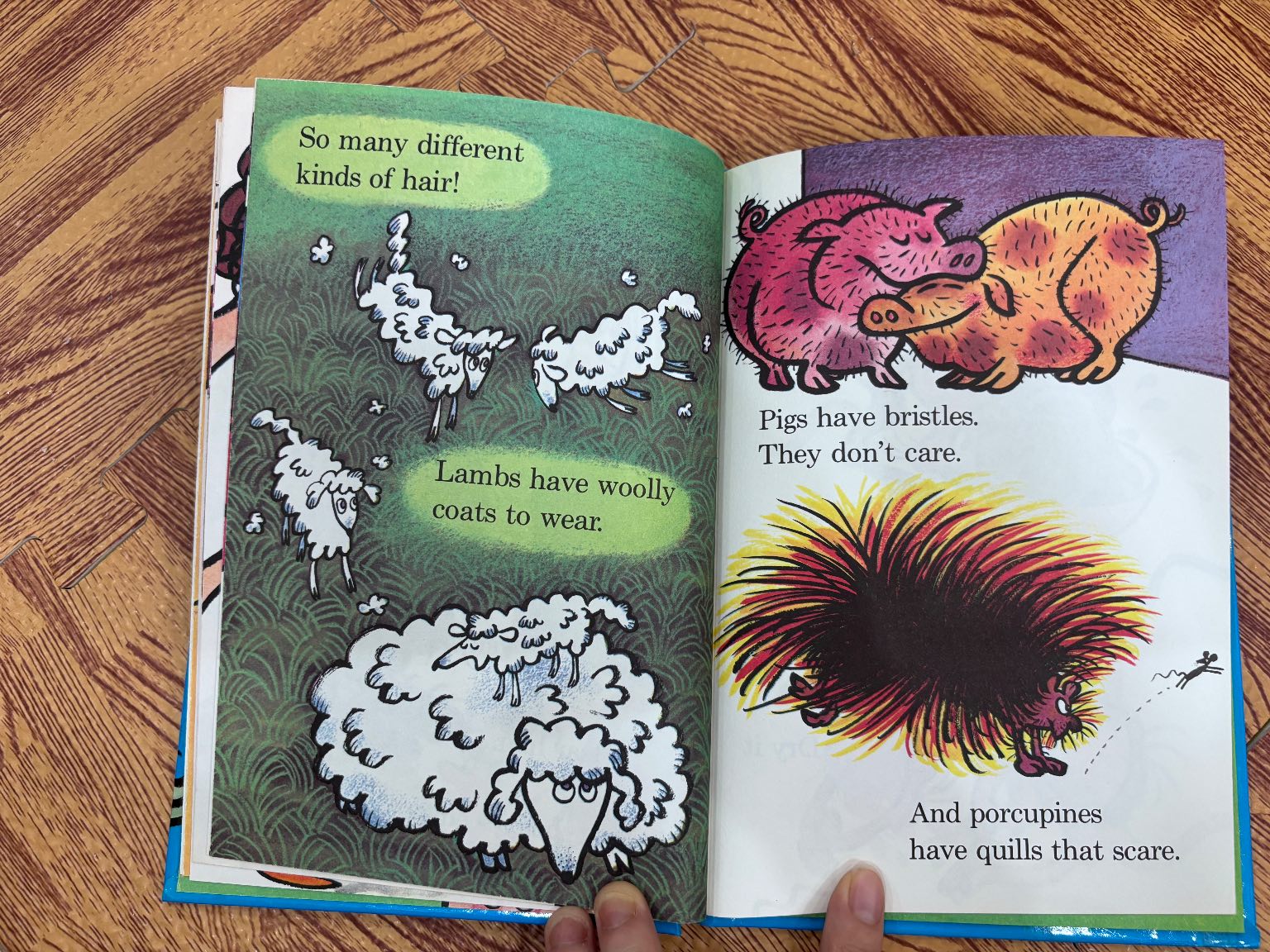 The HAIR Book — ảnh 6