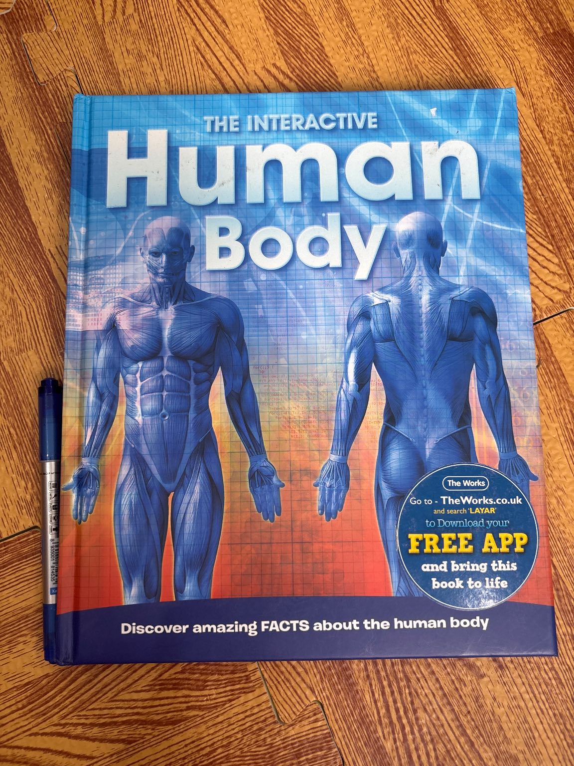 The Interactive Human Body — ảnh 1