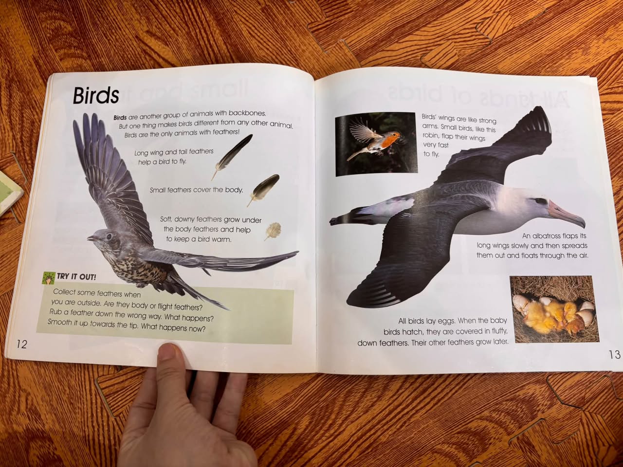 IT'S SCIENCE! ALL KINDS OF ANIMALS — ảnh 4