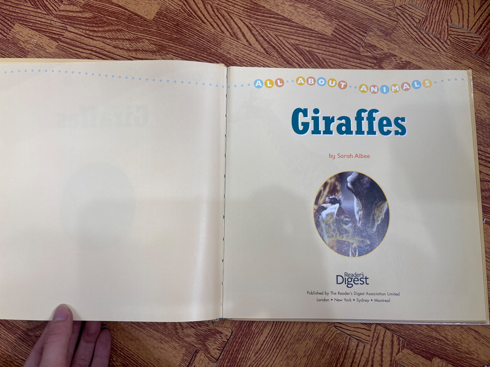 Giraffes — ảnh 2