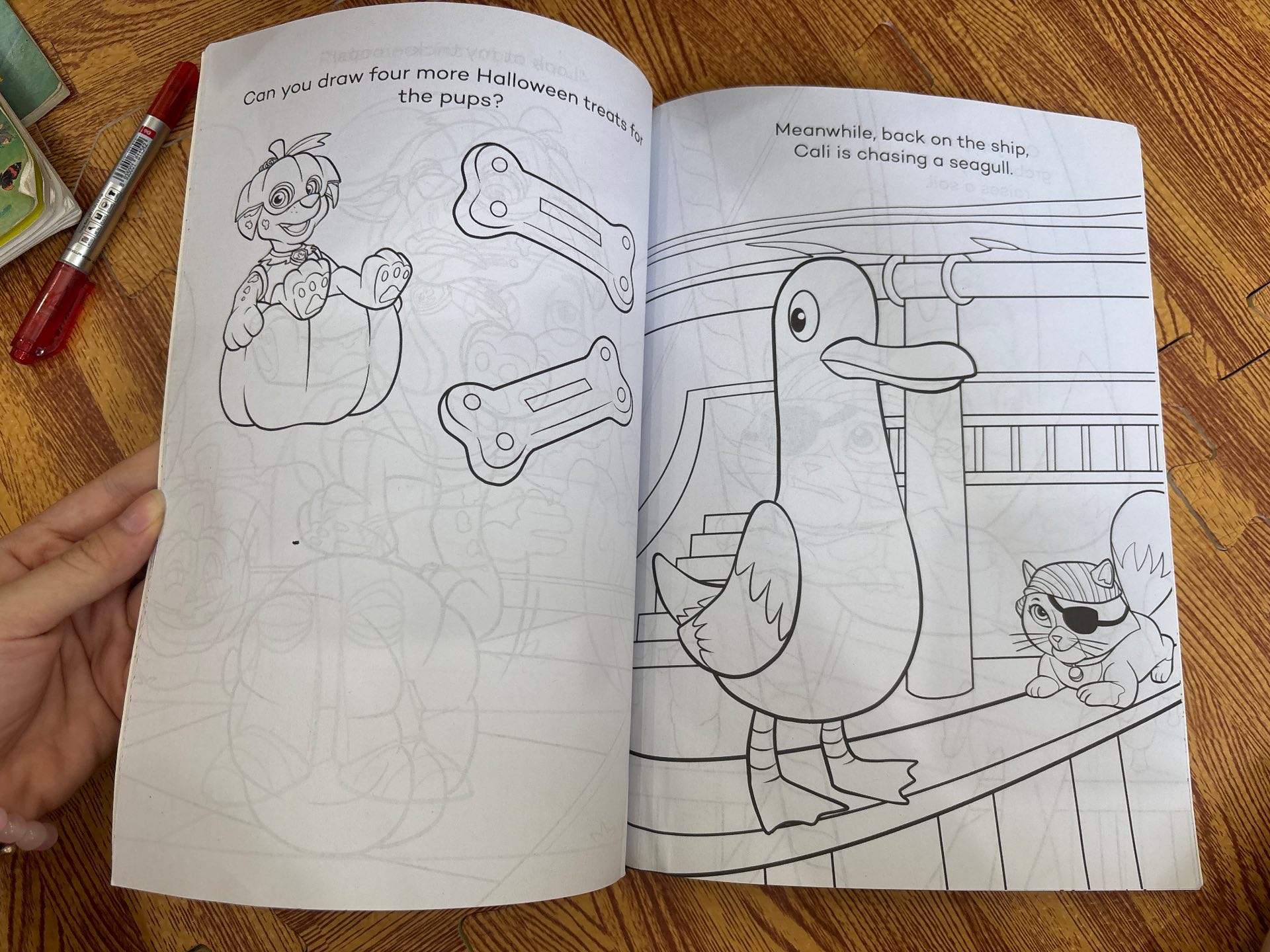 PAW PATROL: Ghost Pirate Colouring — ảnh 2