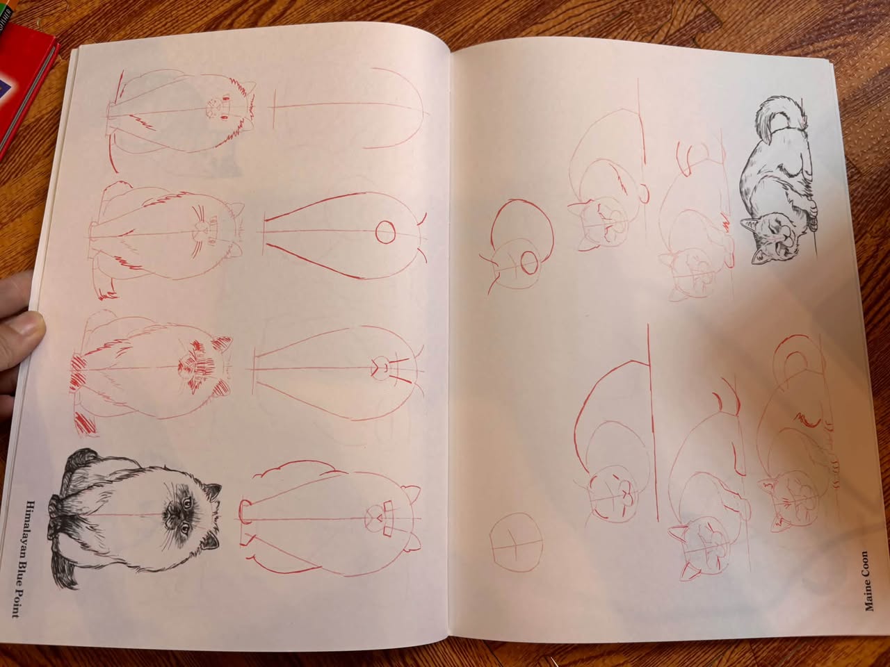 BỘ SÁCH DẠY VẼ: DRAW 50 SERIES (LEE J. AMES - KINGFISHER) — ảnh 4
