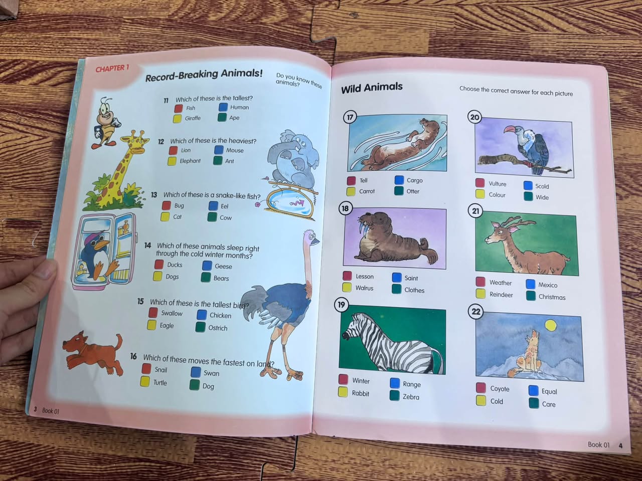 Shades and JB On Safari – Work Book 01 — ảnh 4