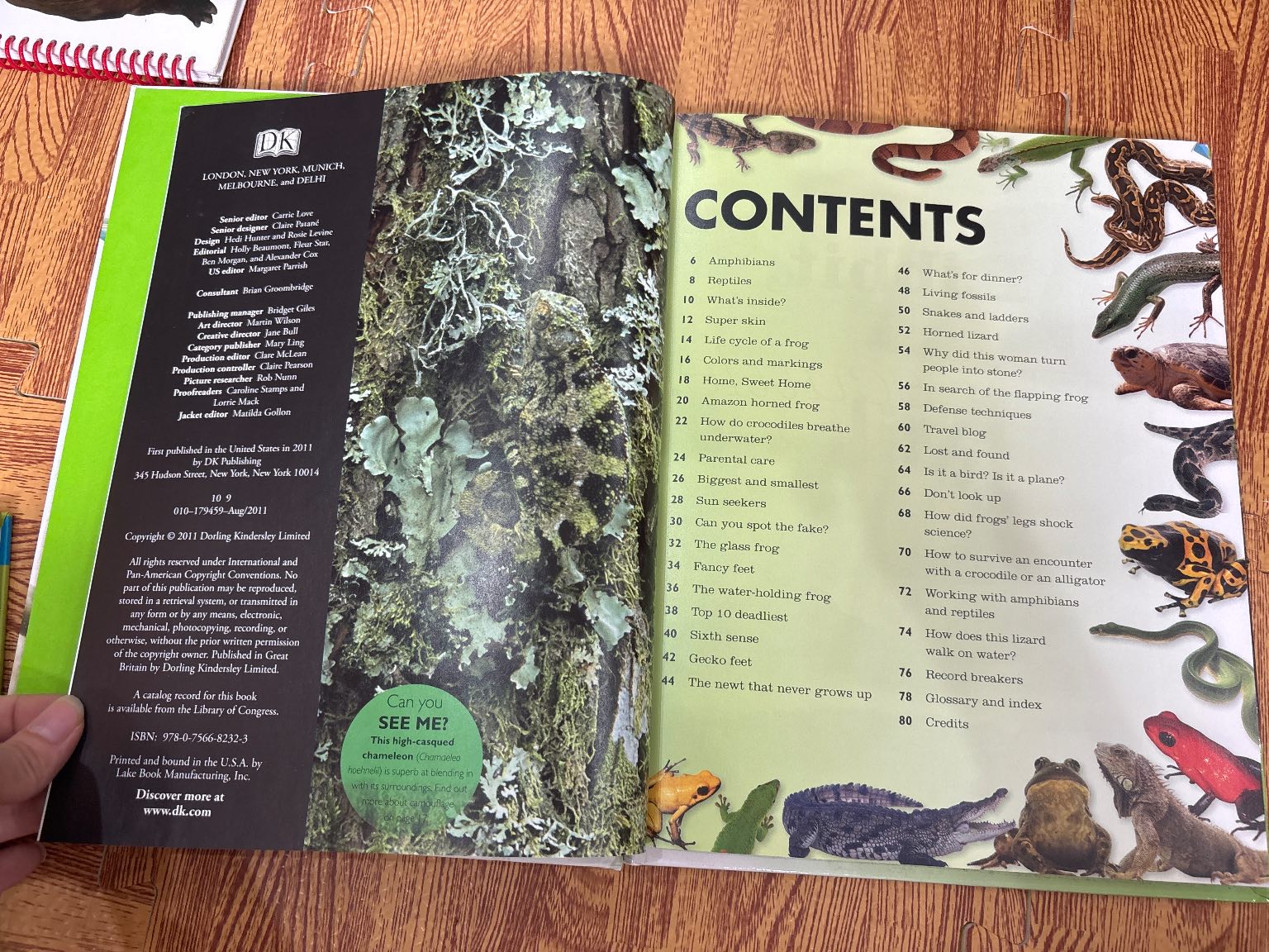 Everything you need to know about FROGS AND OTHER SLIPPERY CREATURES — ảnh 5
