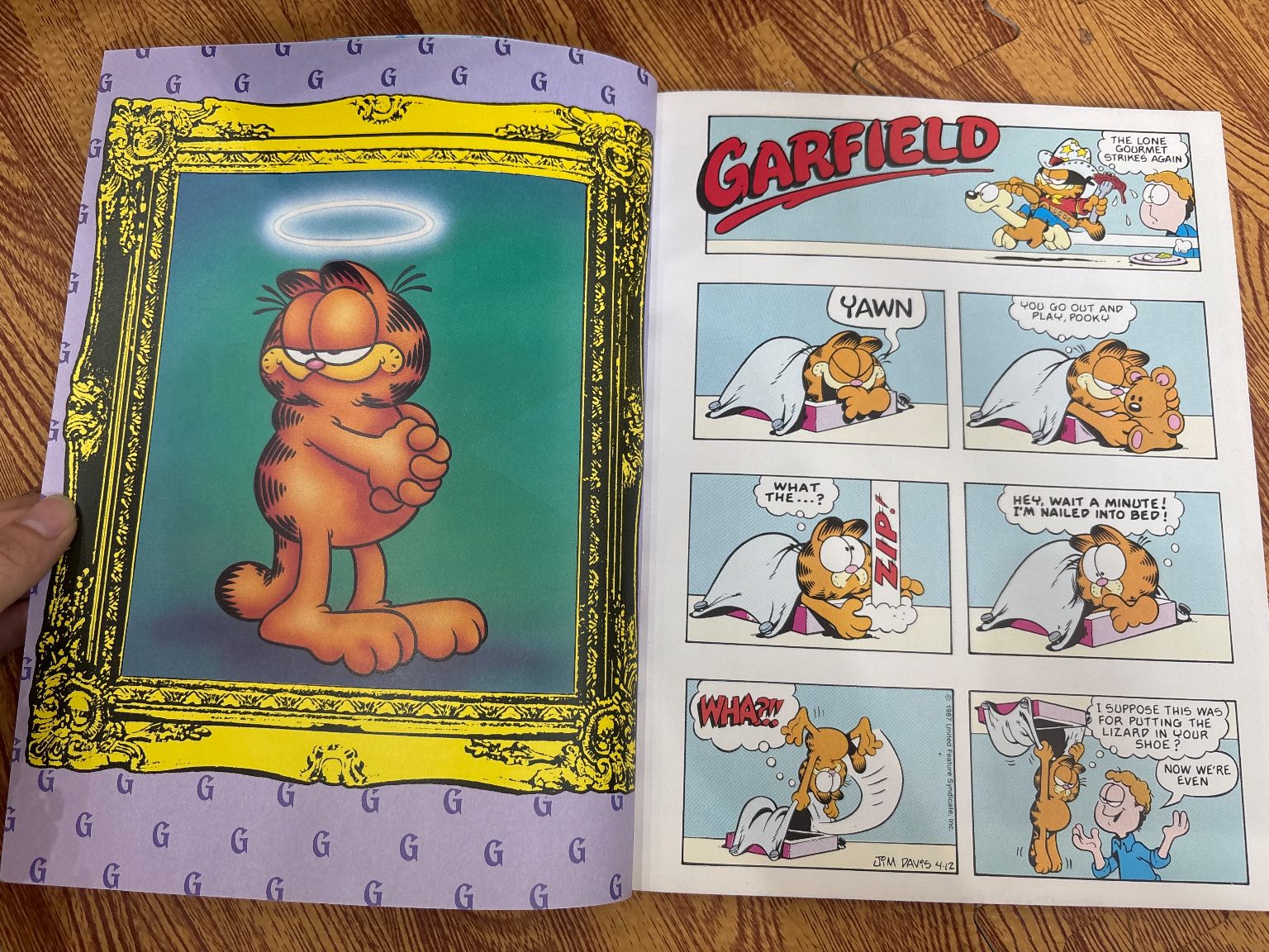 The Garfield Selection — ảnh 3