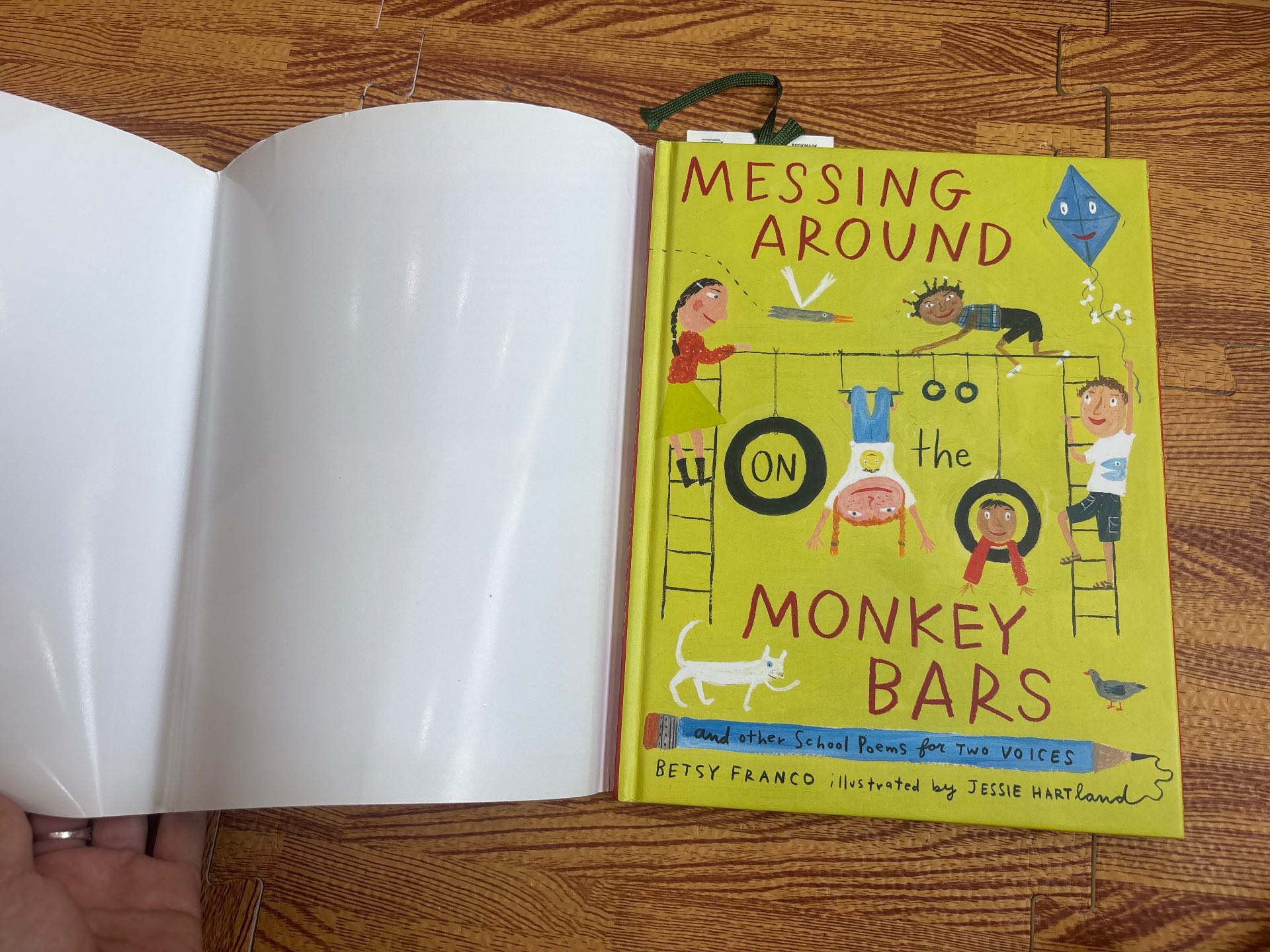 Messing Around on the Monkey Bars — ảnh 7