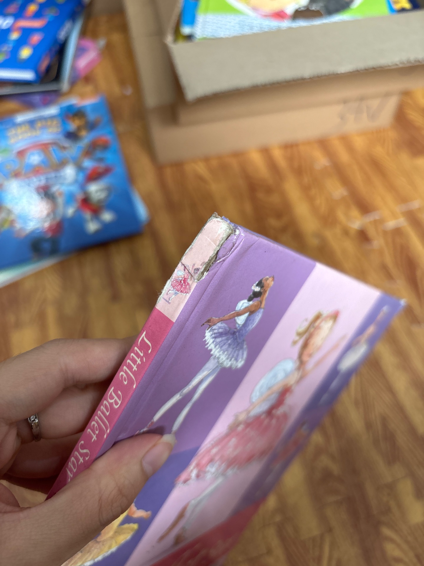 Little Ballet Star — ảnh 9