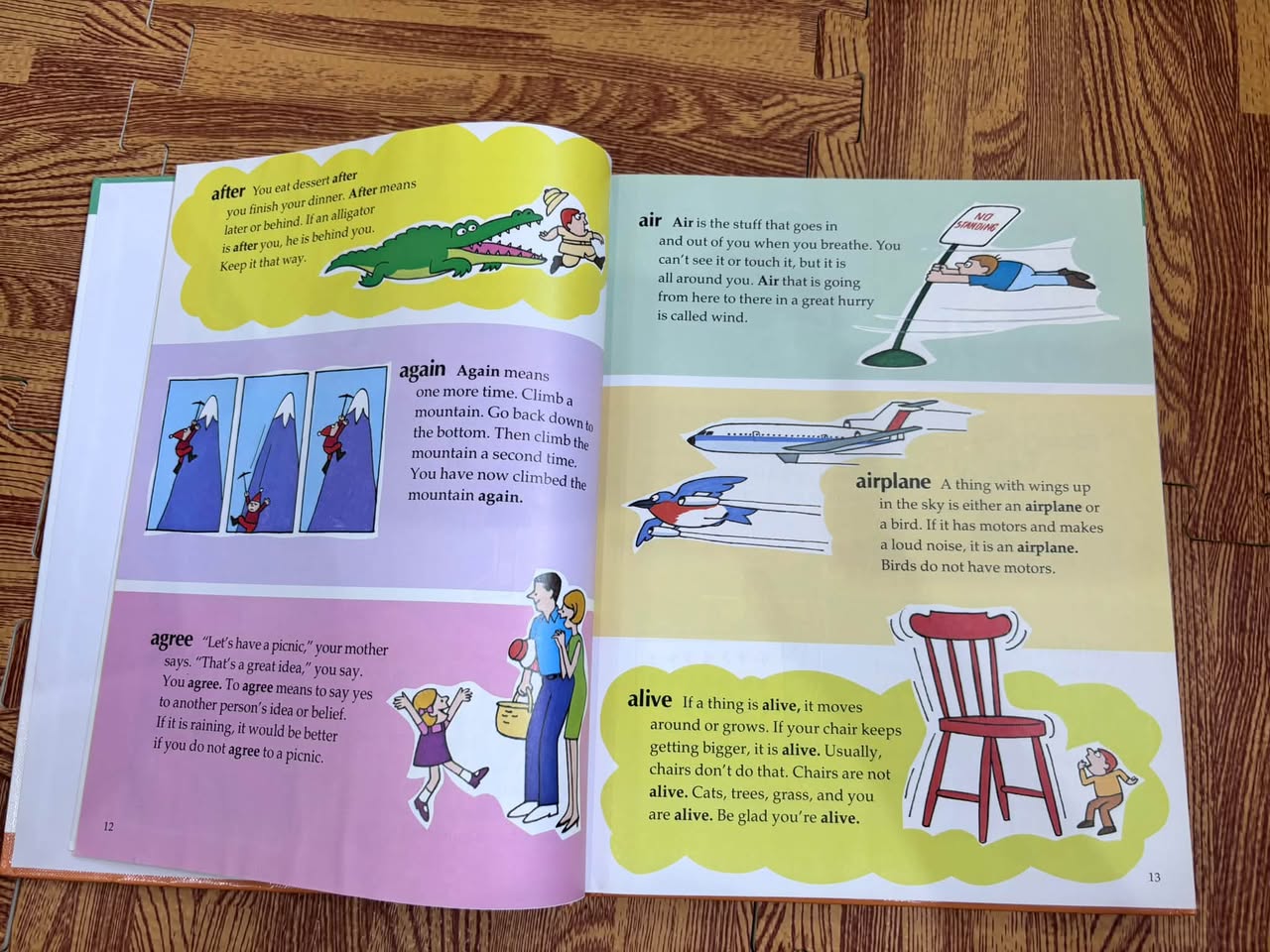 MY FUN WITH WORDS (A PICTURE DICTIONARY) — ảnh 2