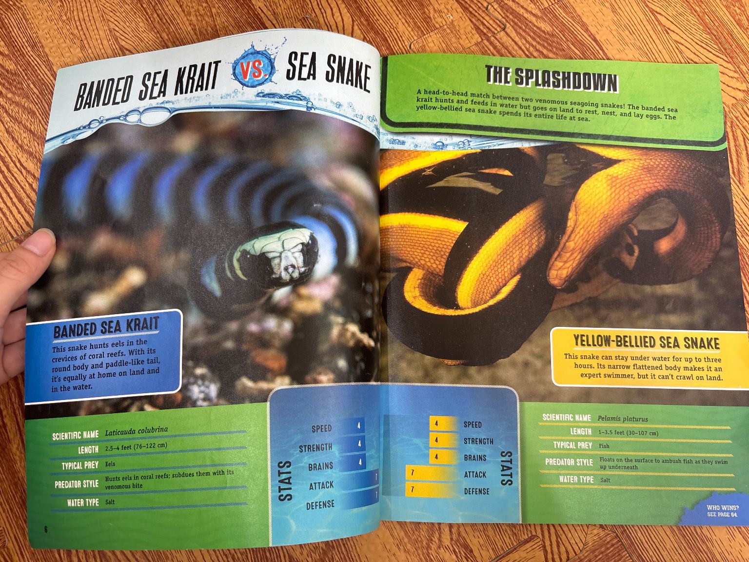 PREDATOR SPLASHDOWN — ảnh 5