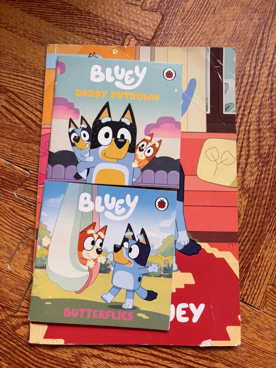 SET 3 QUYỂN BLUEY (LADYBIRD BOOKS) — ảnh 1