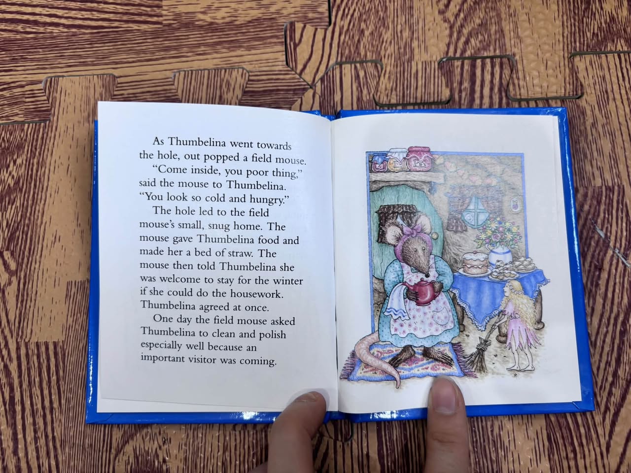 Thumbelina – Illustrated by Fran Thatcher — ảnh 4