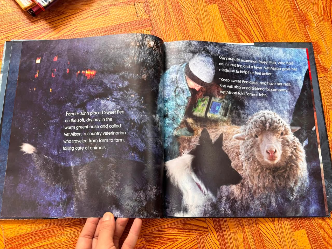 SWEET PEA & FRIENDS: THE SHEEPOVER (JOHN & JENNIFER CHURCHMAN) — ảnh 4