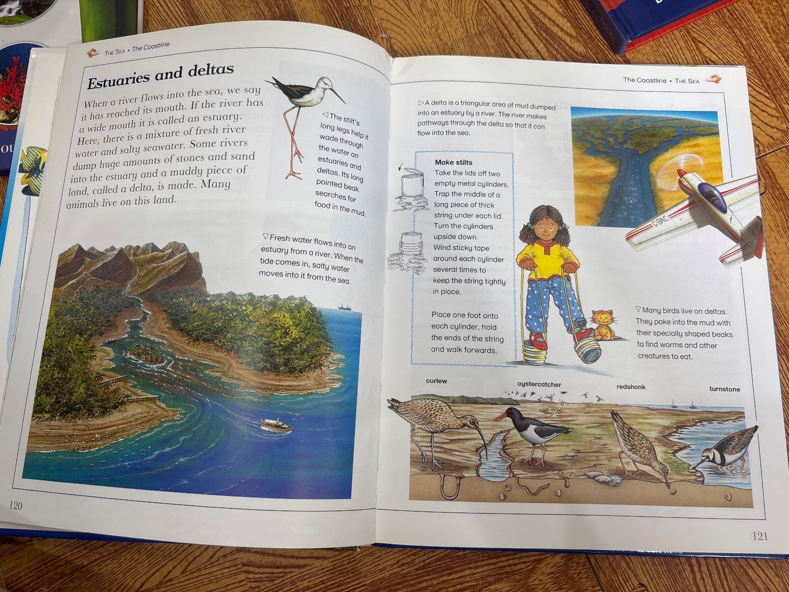 Learning Adventure Library: The Sea — ảnh 2