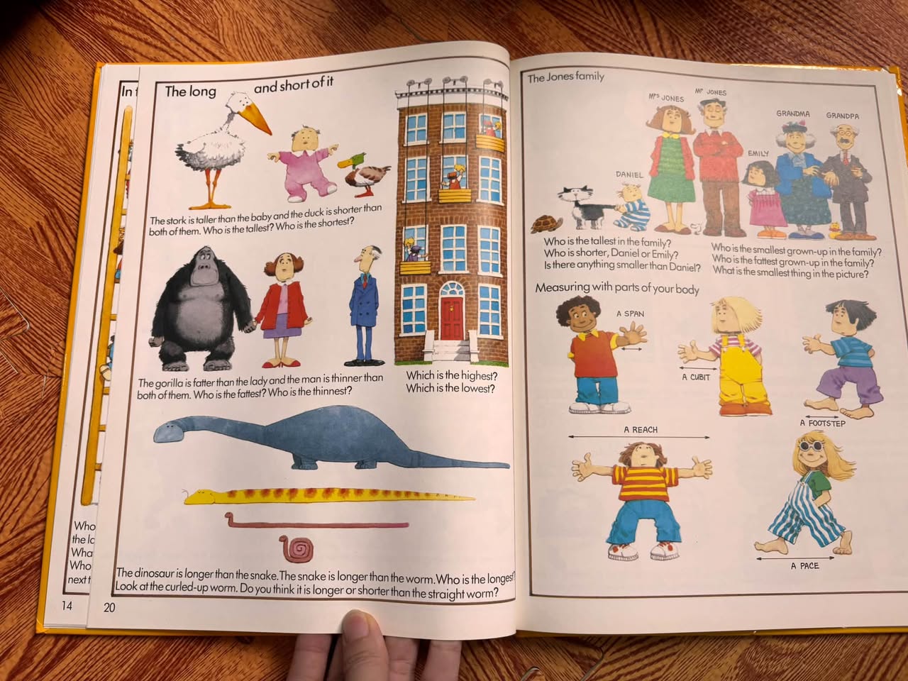THE FIRST BOOK OF NUMBERS (USBORNE - STEPHEN CARTWRIGHT) — ảnh 5