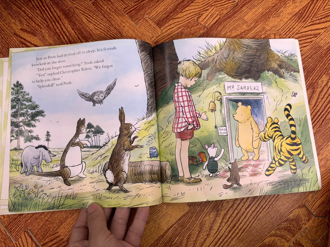 DISNEY CLASSIC POOH: POOH'S CLEANUP — ảnh 5