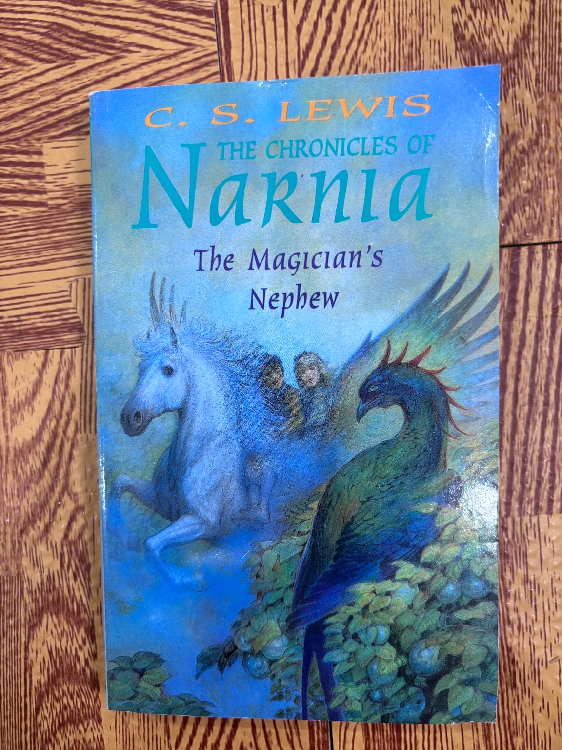 The Magician's Nephew — ảnh 1
