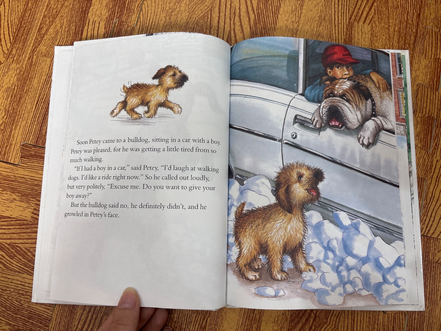 The Puppy Who Wanted a Boy — ảnh 4