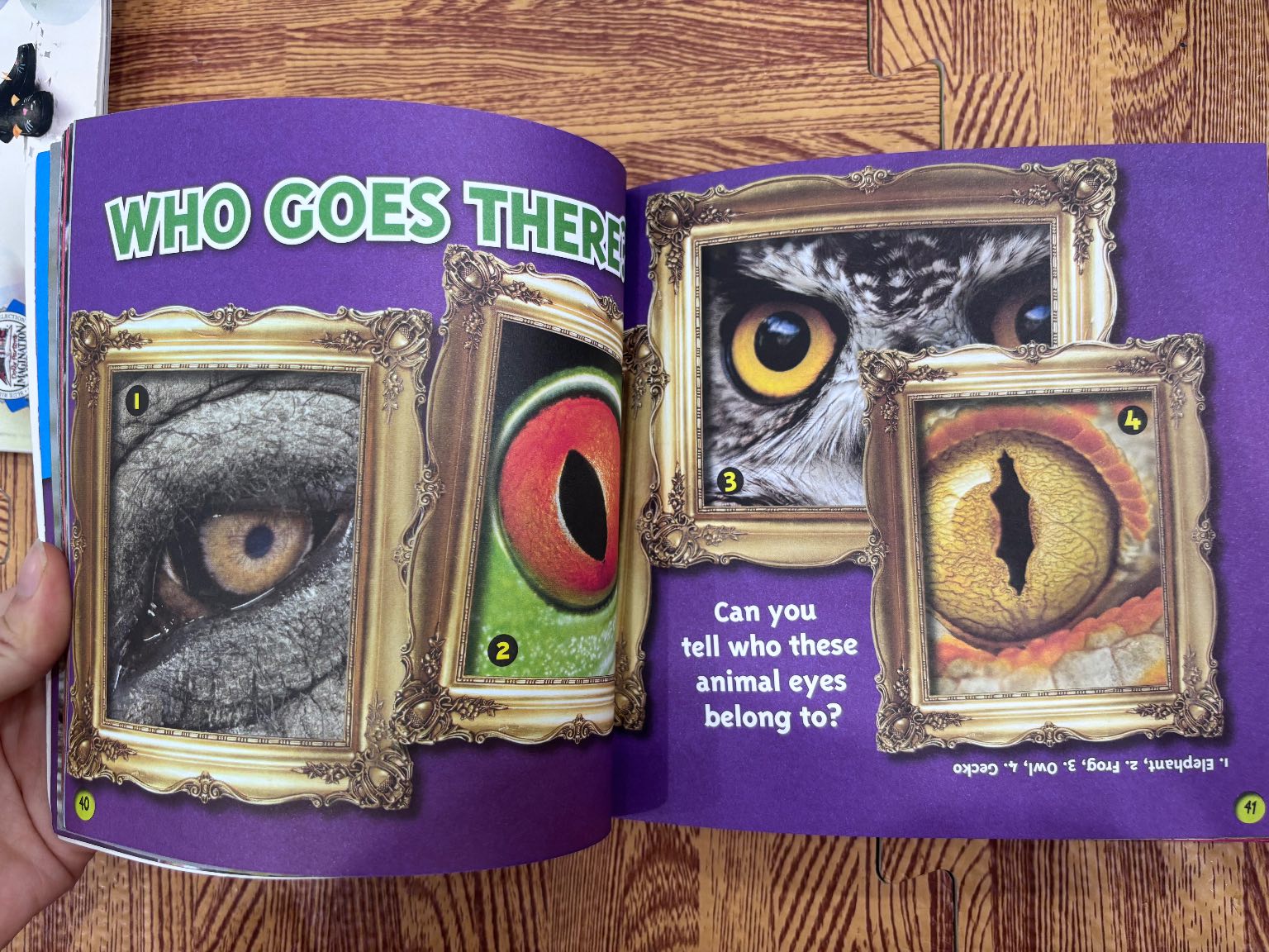 Ripley's Believe It or Not! Kids: Fun Facts & Silly Stories — ảnh 5