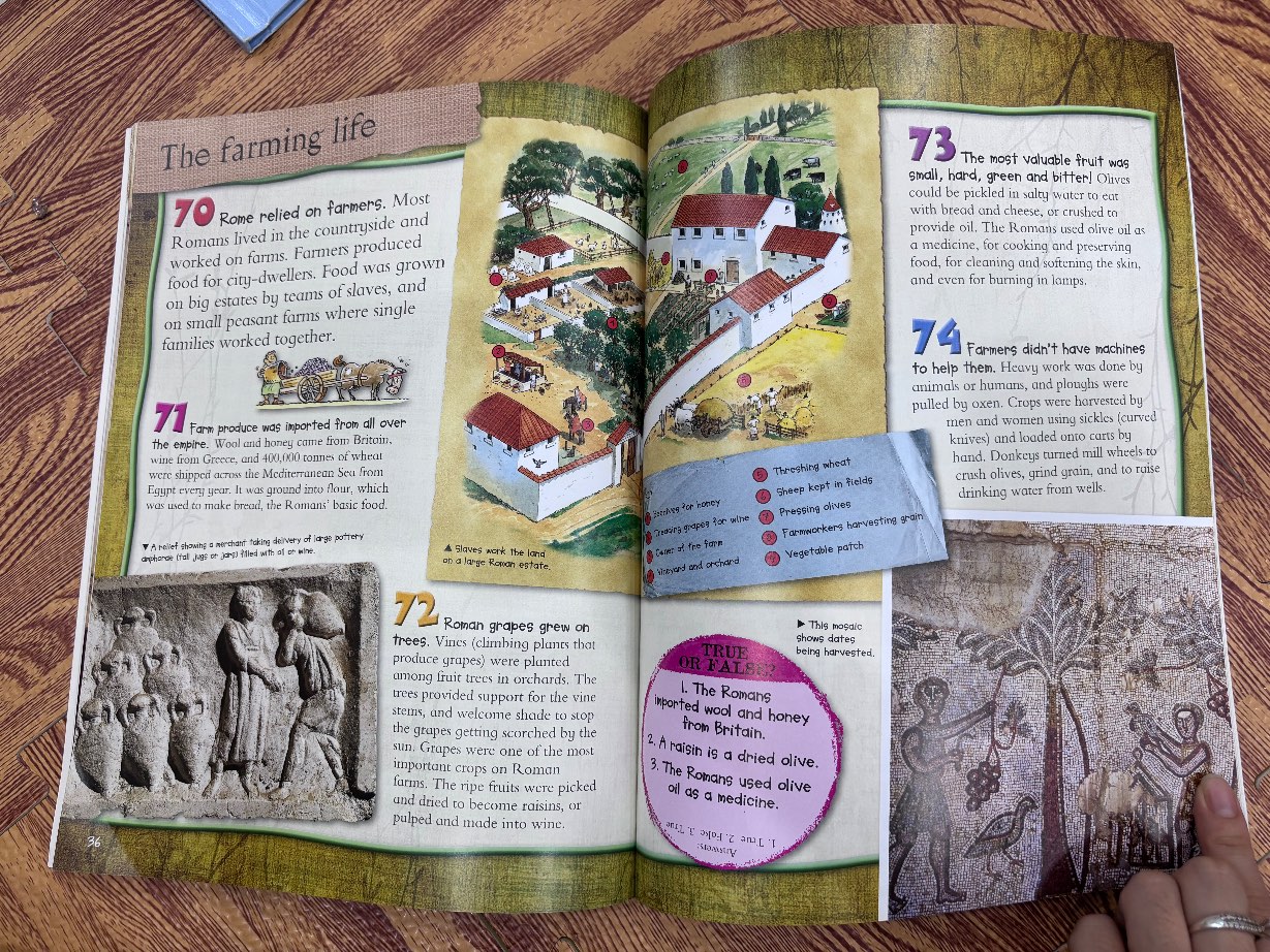 100 facts Ancient Rome — ảnh 5