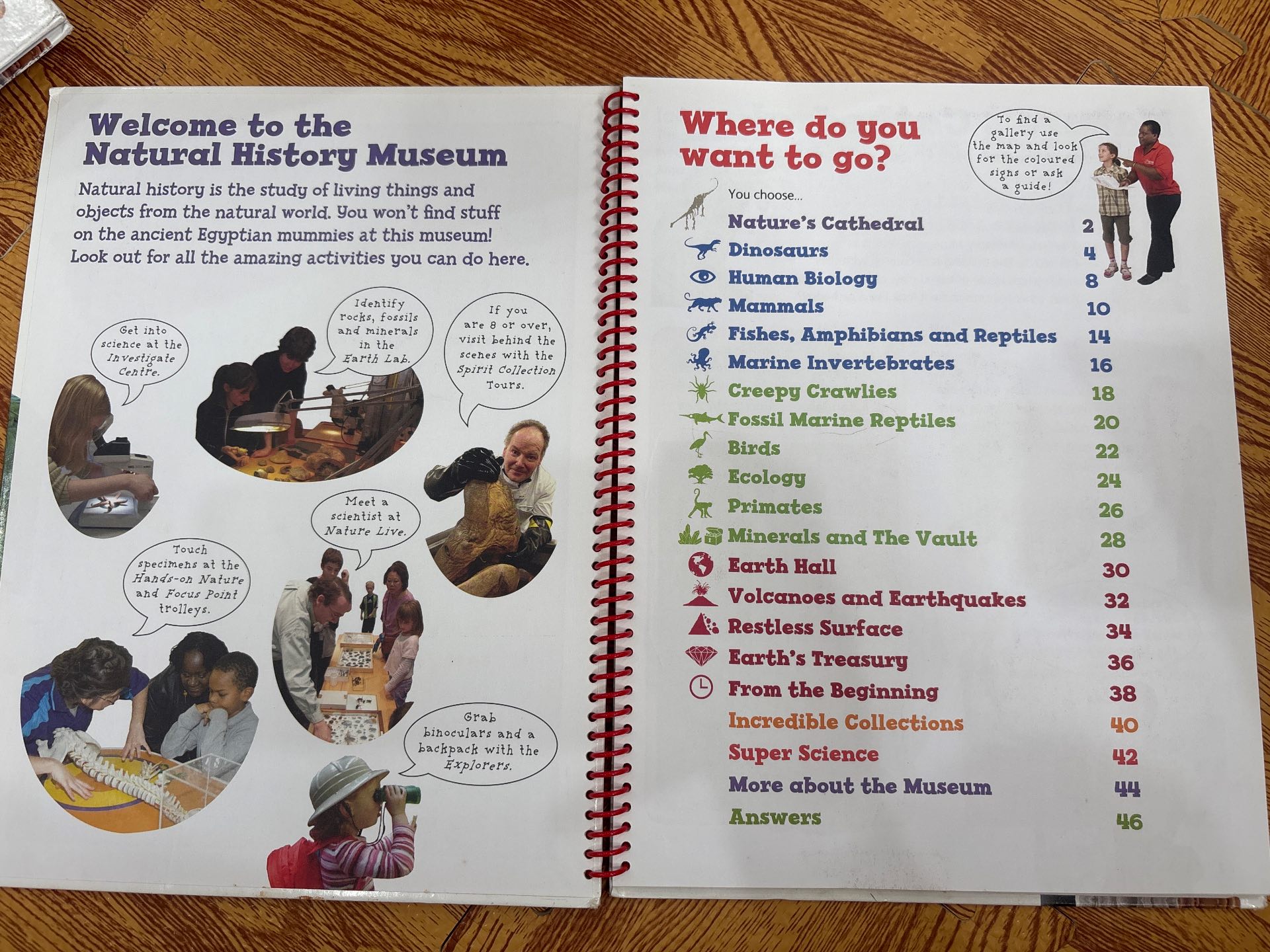 Kids Only - Natural History Museum — ảnh 2
