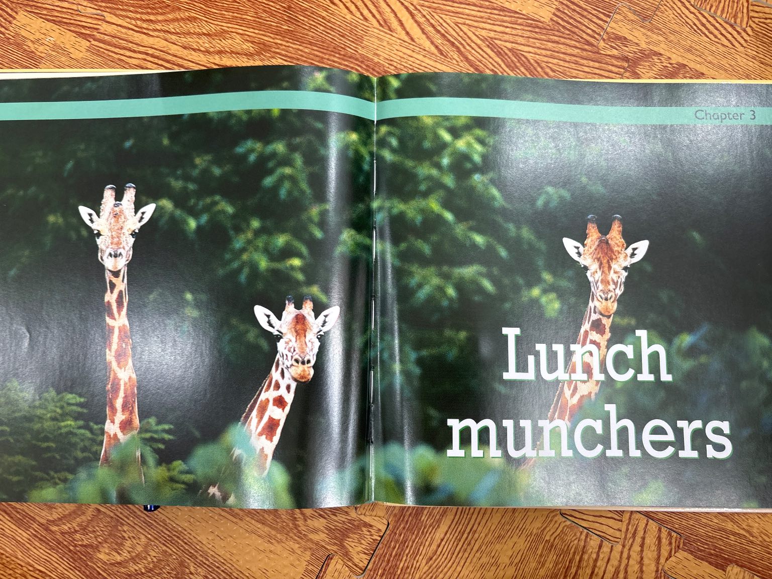 Giraffes — ảnh 5