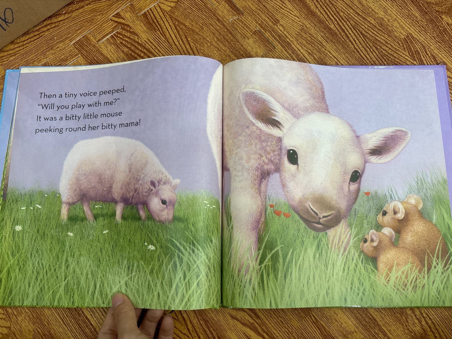 WEE LITTLE LAMB — ảnh 5