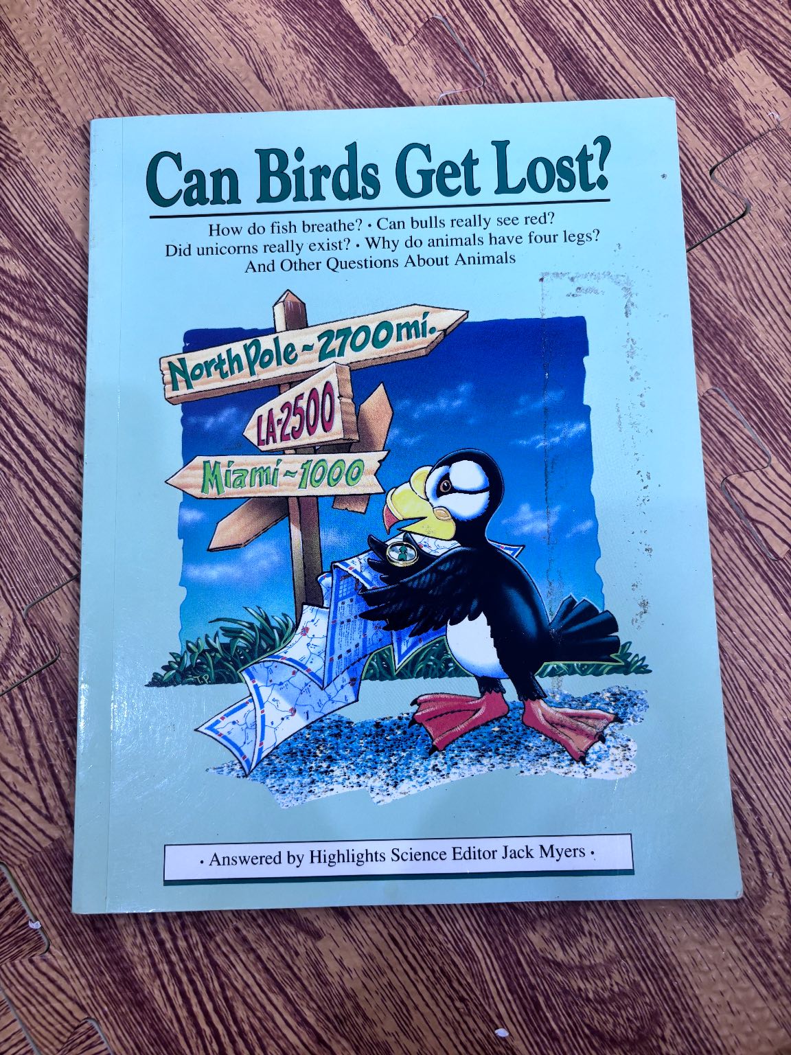 Can Birds Get Lost? — ảnh 1