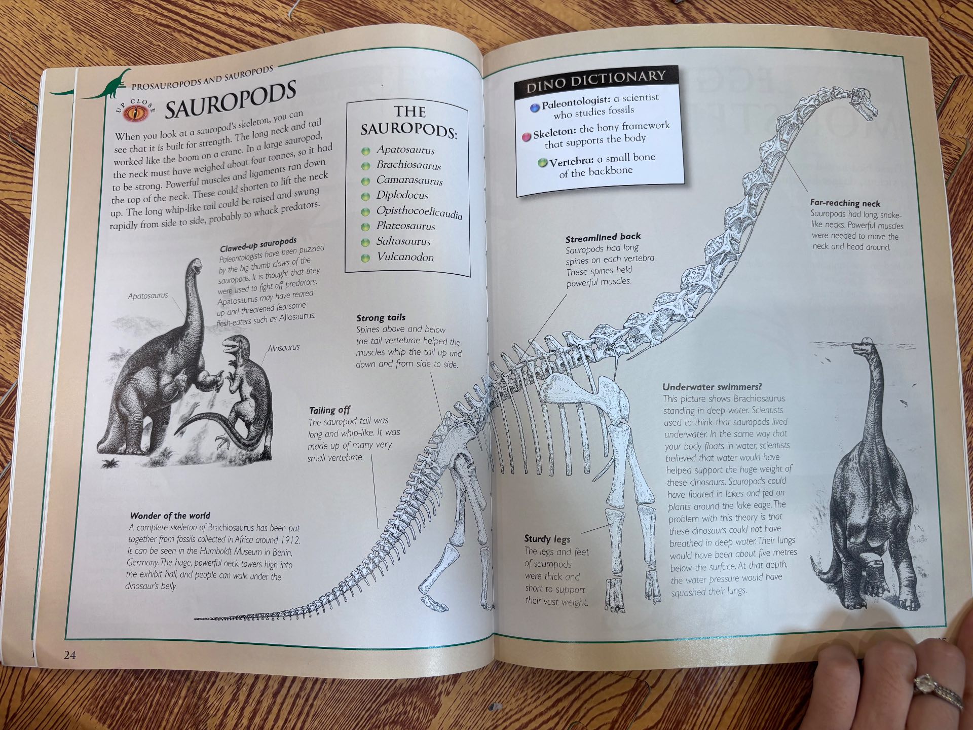 Discovering Dinosaurs: Mighty Giants — ảnh 4