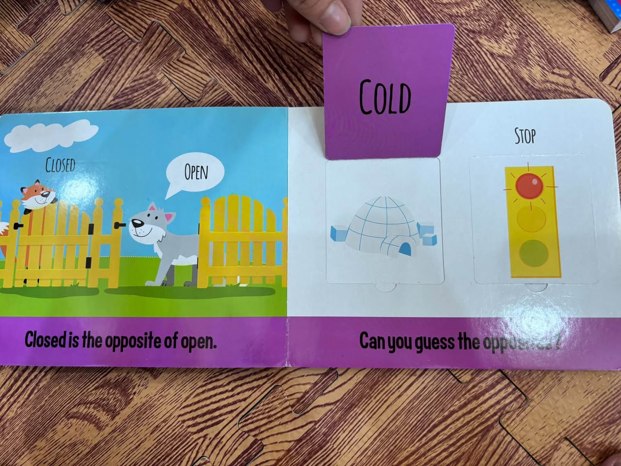 OPPOSITES: EDUCATIONAL LIFT-A-FLAP BOOK — ảnh 2