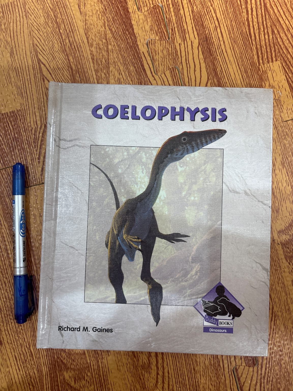 COELOPHYSIS