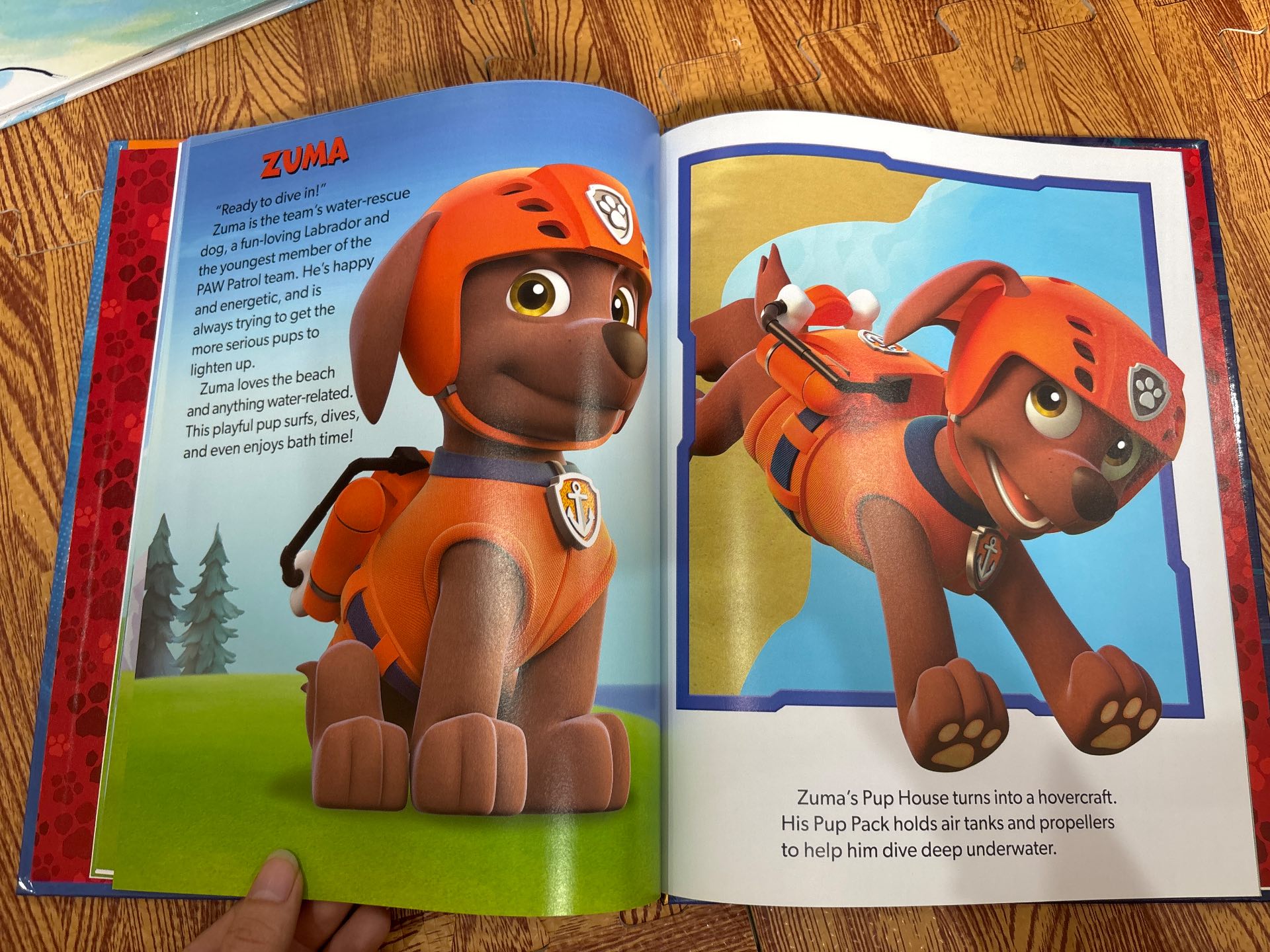 The Big Book of Paw Patrol — ảnh 5