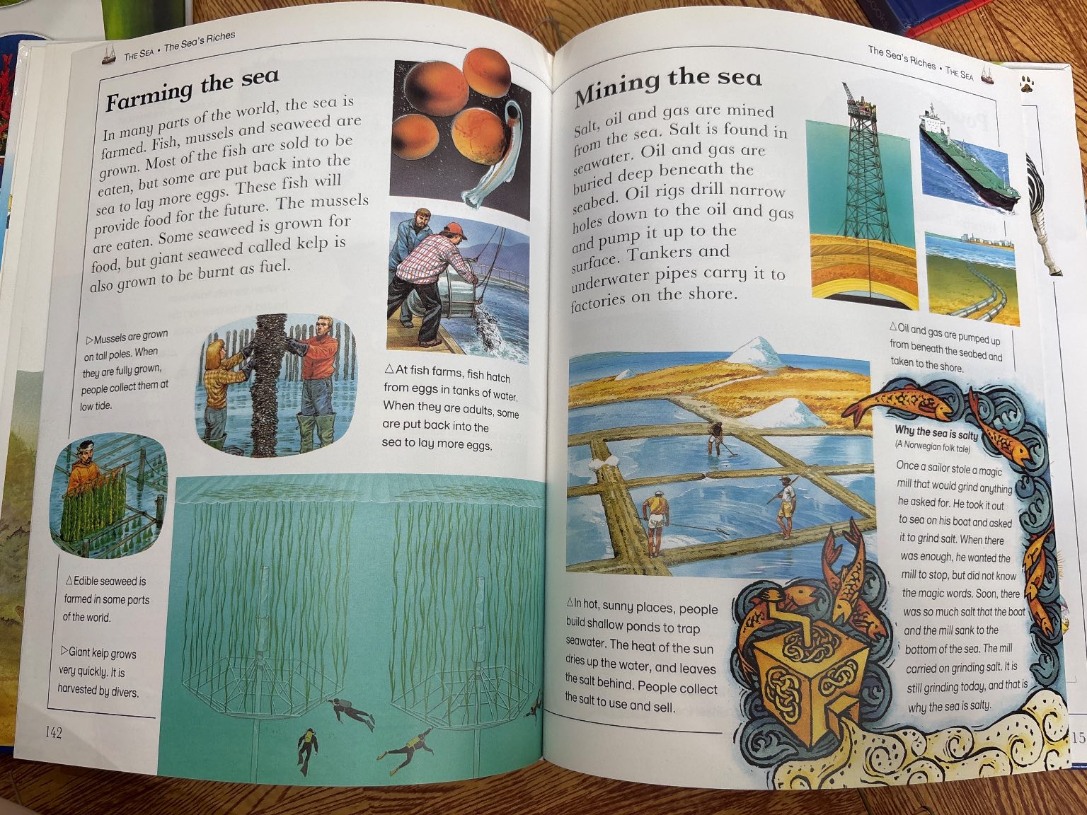 Learning Adventure Library: The Sea — ảnh 3